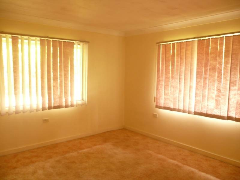 19 Napier Street, St Lucia QLD 4067