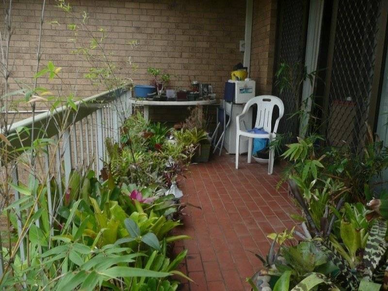 10/150 Clarence Road, Indooroopilly QLD 4068