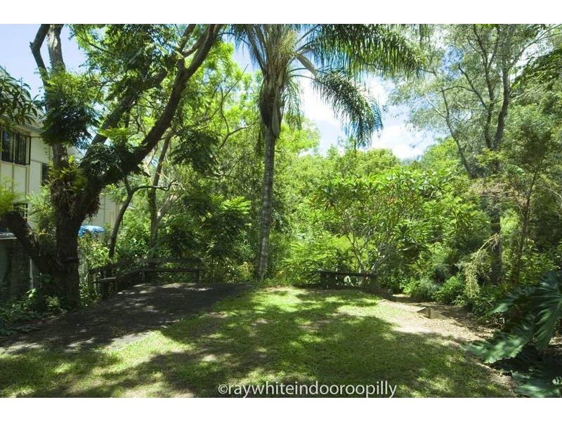 6 Rankin Street, Indooroopilly QLD 4068