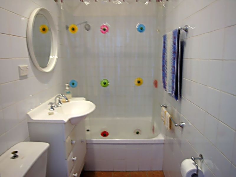 1/431 Parramatta Rd, Leichhardt NSW 2040