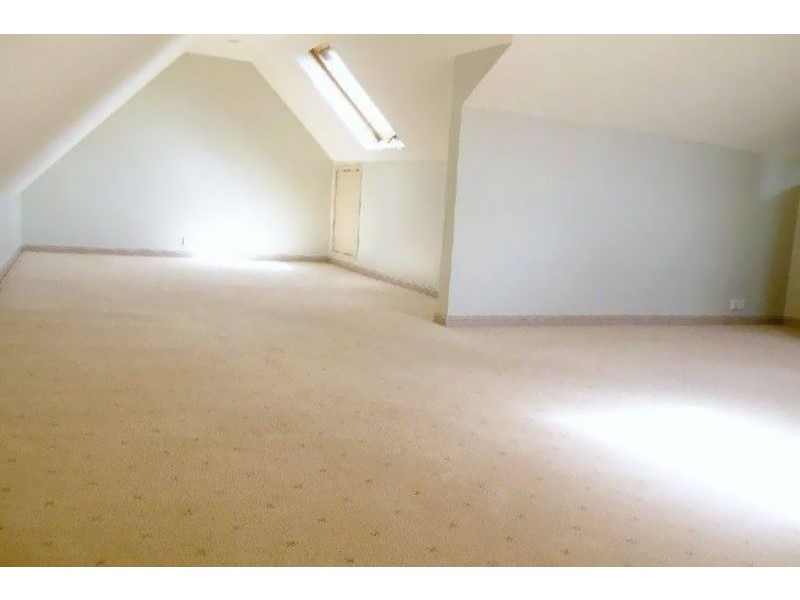 41 View Street, Annandale NSW 2038