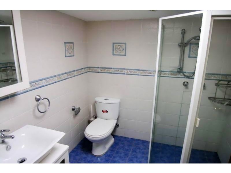 41 View Street, Annandale NSW 2038