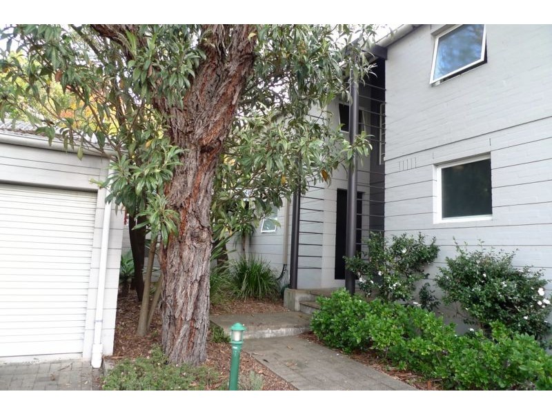 6/62 Trafalgar Street, Annandale NSW 2038