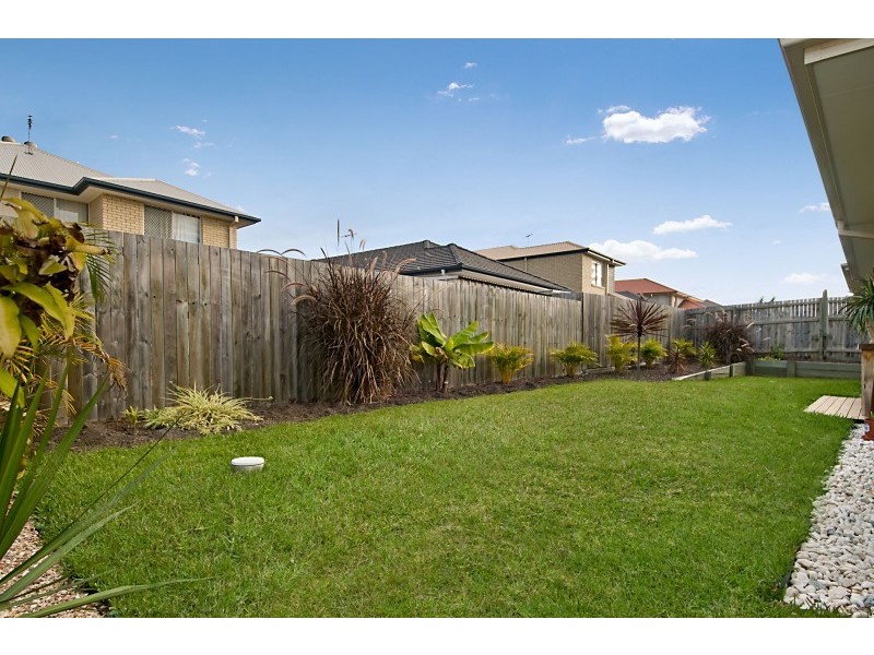 14 Pandorea Circuit, North Lakes QLD 4509