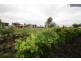 16 Warabi Crescent, North Lakes QLD 4509