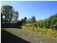 46 Whitfield Crescent, North Lakes QLD 4509