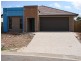 55 Lanagan Circuit, North Lakes QLD 4509