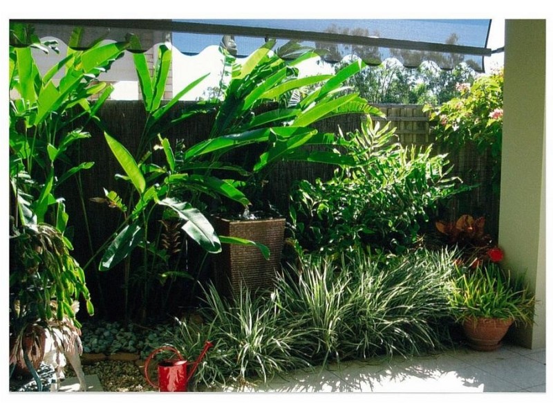 36 Pandorea Circuit, North Lakes QLD 4509