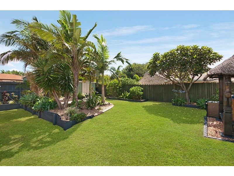 16 Kalmia Close, Mango Hill QLD 4509