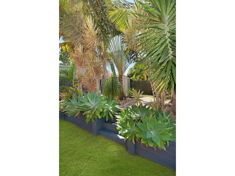 16 Kalmia Close, Mango Hill QLD 4509