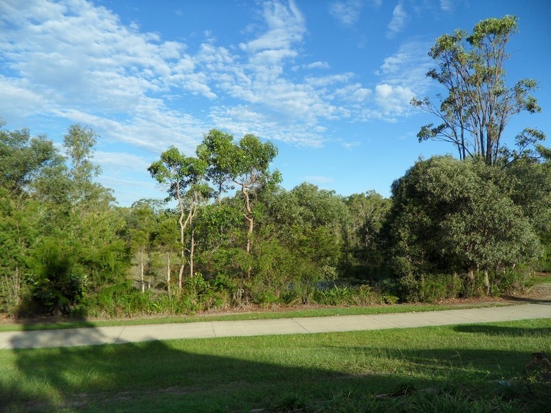 20 Whitecedar Street, North Lakes QLD 4509