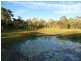 20 Whitecedar Street, North Lakes QLD 4509