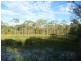 20 Whitecedar Street, North Lakes QLD 4509