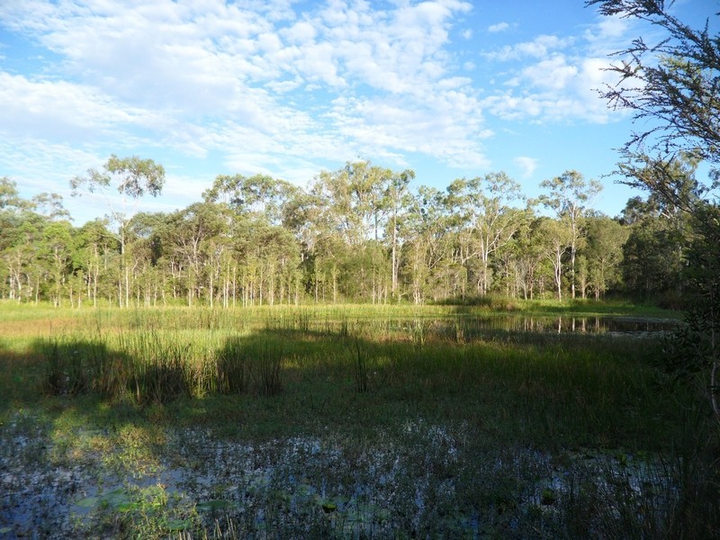 20 Whitecedar Street, North Lakes QLD 4509