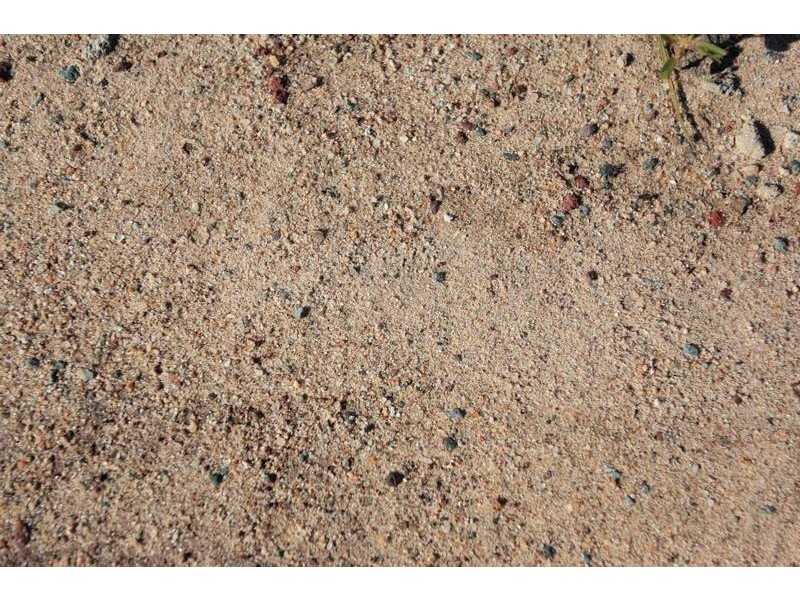 Lot 203, 43 Riviera Crescent, North Lakes QLD 4509