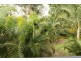 21 Mary Street, Mango Hill QLD 4509