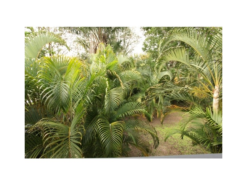 21 Mary Street, Mango Hill QLD 4509