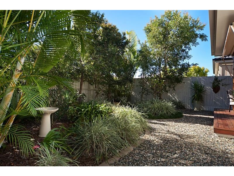 38 Whitecedar Circuit, North Lakes QLD 4509