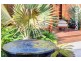 7 Liberty Circuit, North Lakes QLD 4509