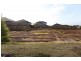 3 Ginger Crescent, Griffin QLD 4503