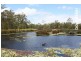 43 Wallaroo Circuit, North Lakes QLD 4509