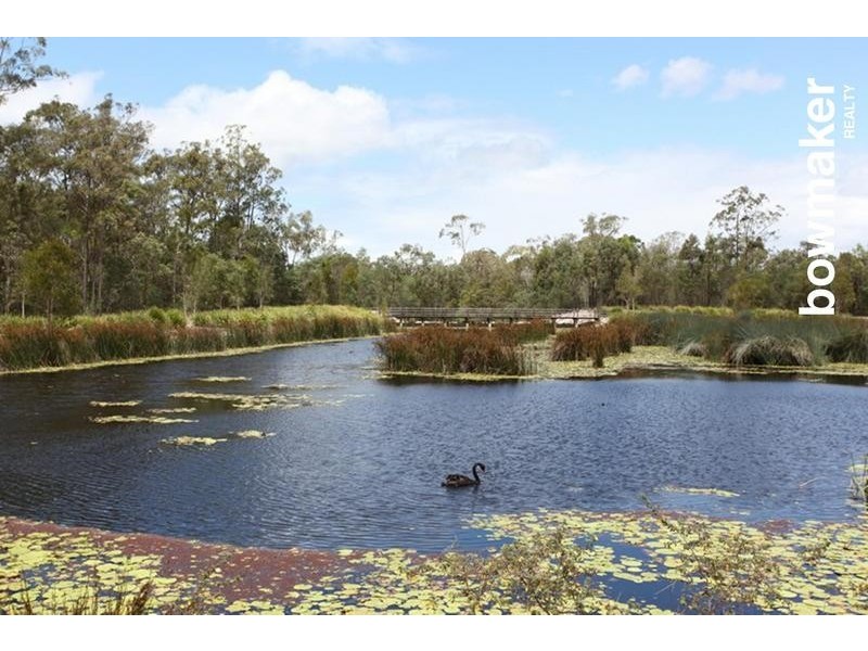 43 Wallaroo Circuit, North Lakes QLD 4509