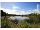 26 Lacebark Street, North Lakes QLD 4509