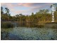 24 Wallaroo Circuit, North Lakes QLD 4509