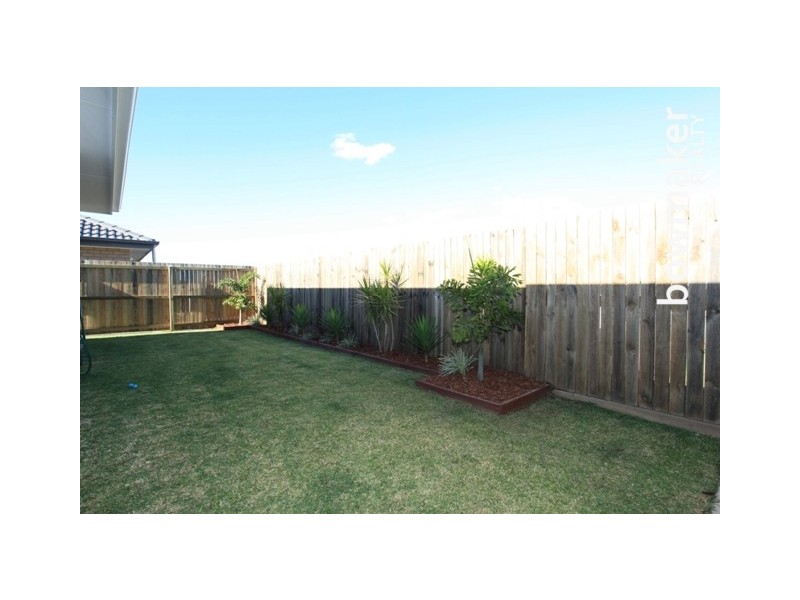 53 Daintree Circuit, North Lakes QLD 4509