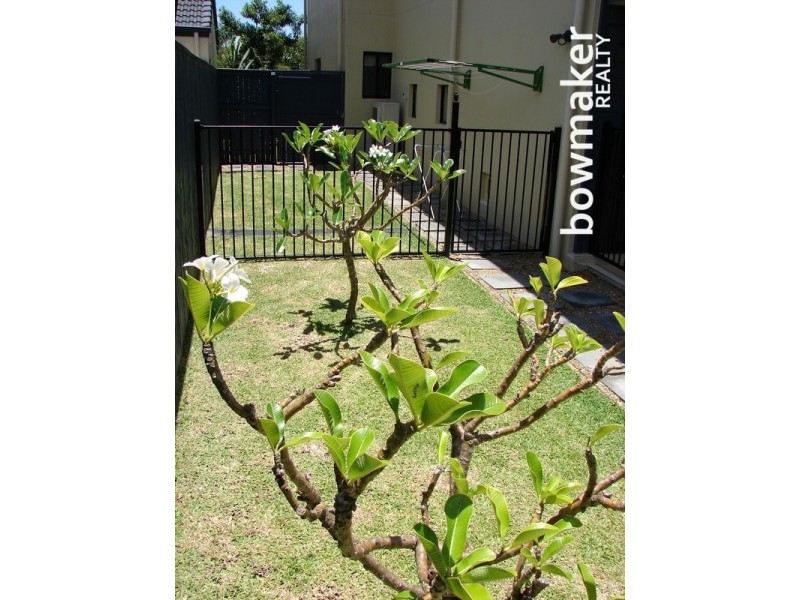 12 Lacebark Street, North Lakes QLD 4509