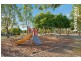 9 Wollemi Street, North Lakes QLD 4509