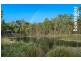 14 Wallaroo Circuit, North Lakes QLD 4509