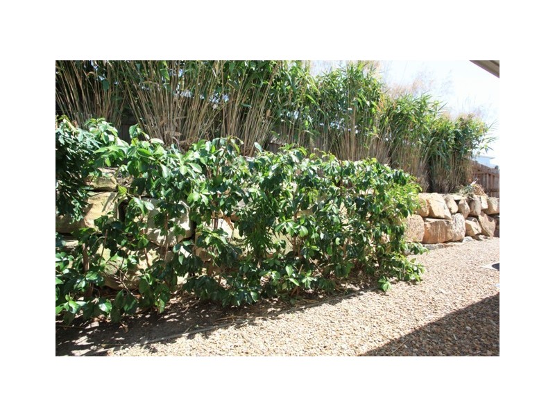 90 Mackintosh Drive, North Lakes QLD 4509