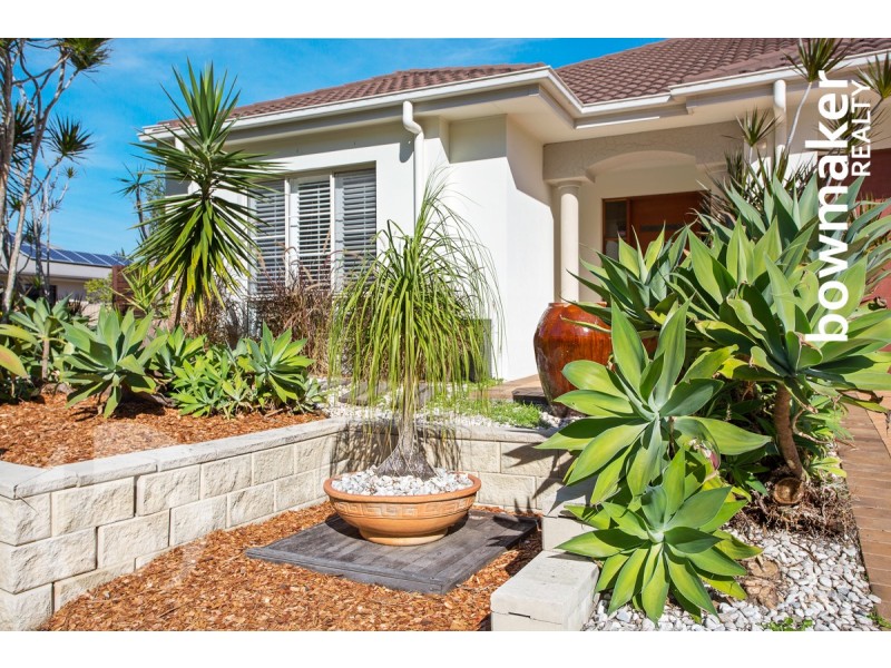 36 Lacebark Street, North Lakes QLD 4509