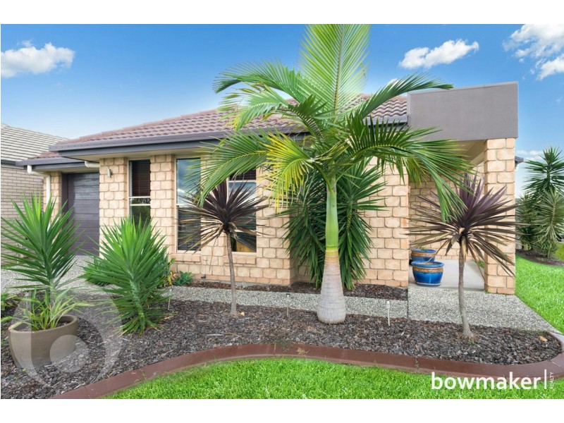 9 Wells Close, North Lakes QLD 4509