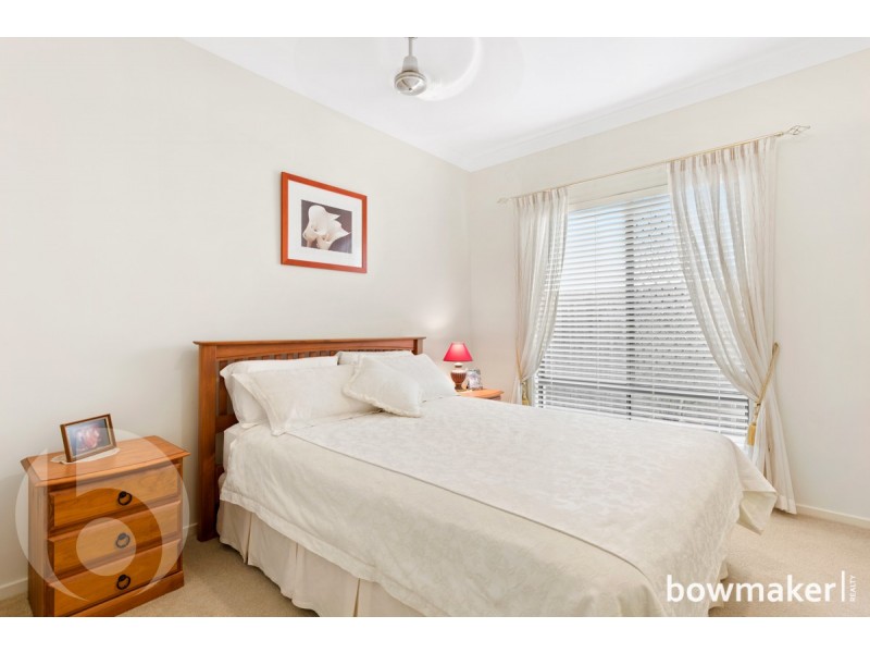 36 Pandorea Circuit, North Lakes QLD 4509