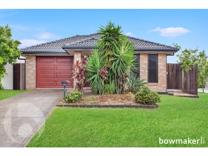 17 Bellenden Street, North Lakes QLD 4509