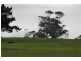 Ecklin South VIC 3265
