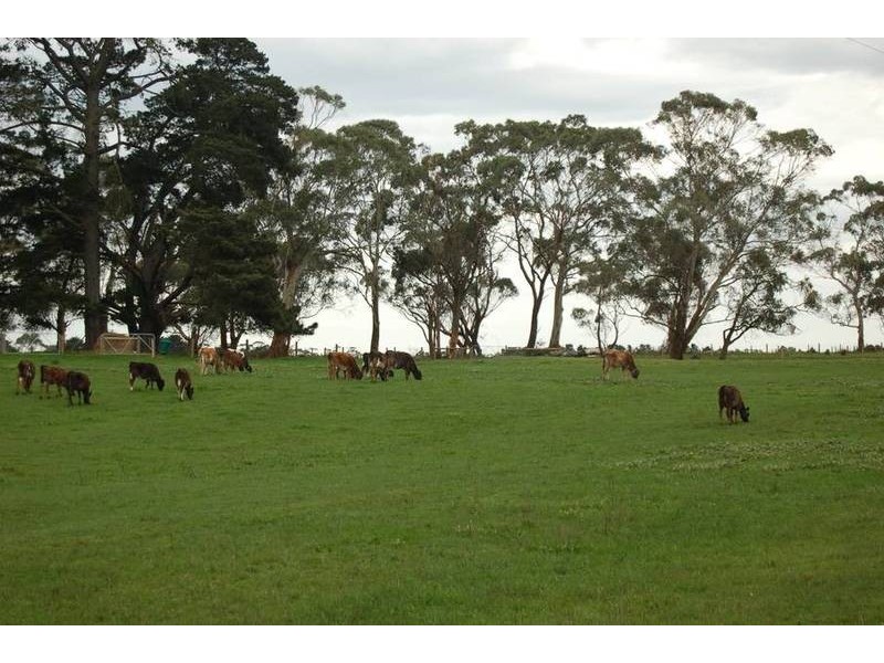 Ecklin South VIC 3265