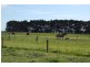 Panmure VIC 3265