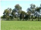 Bushfield VIC 3281