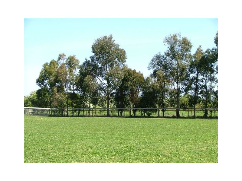 Bushfield VIC 3281