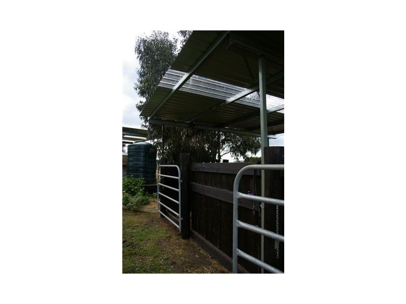 Bushfield VIC 3281