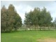 Bushfield VIC 3281