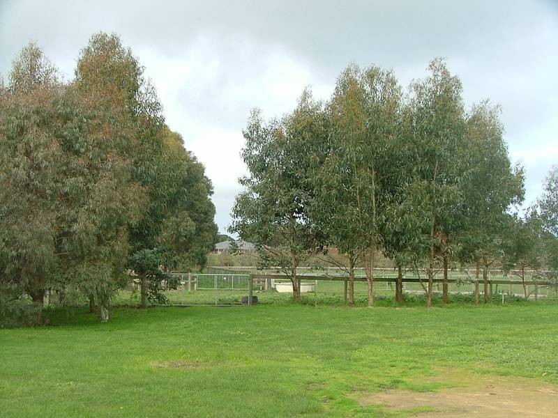 Bushfield VIC 3281