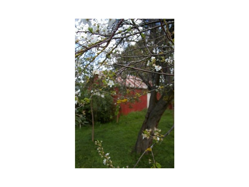 Bushfield VIC 3281