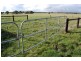 Panmure VIC 3265
