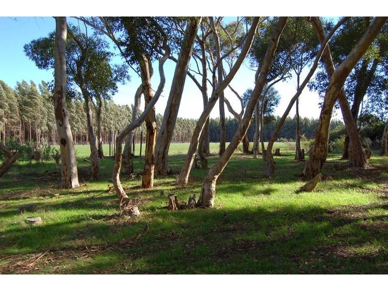 Warrnambool VIC 3280