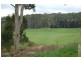 Kennedys Creek VIC 3239
