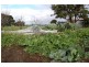 Glenthompson VIC 3293